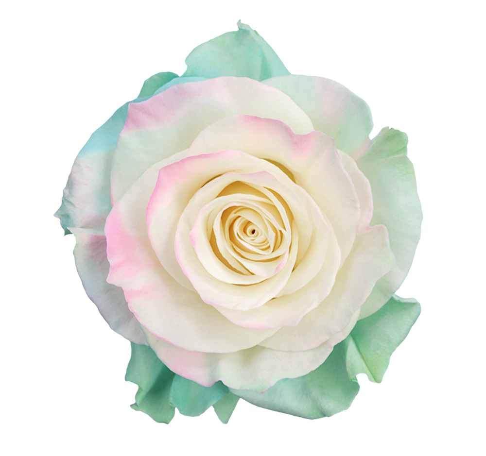 Group 48223 Aurora Boreal Pink - Image 1