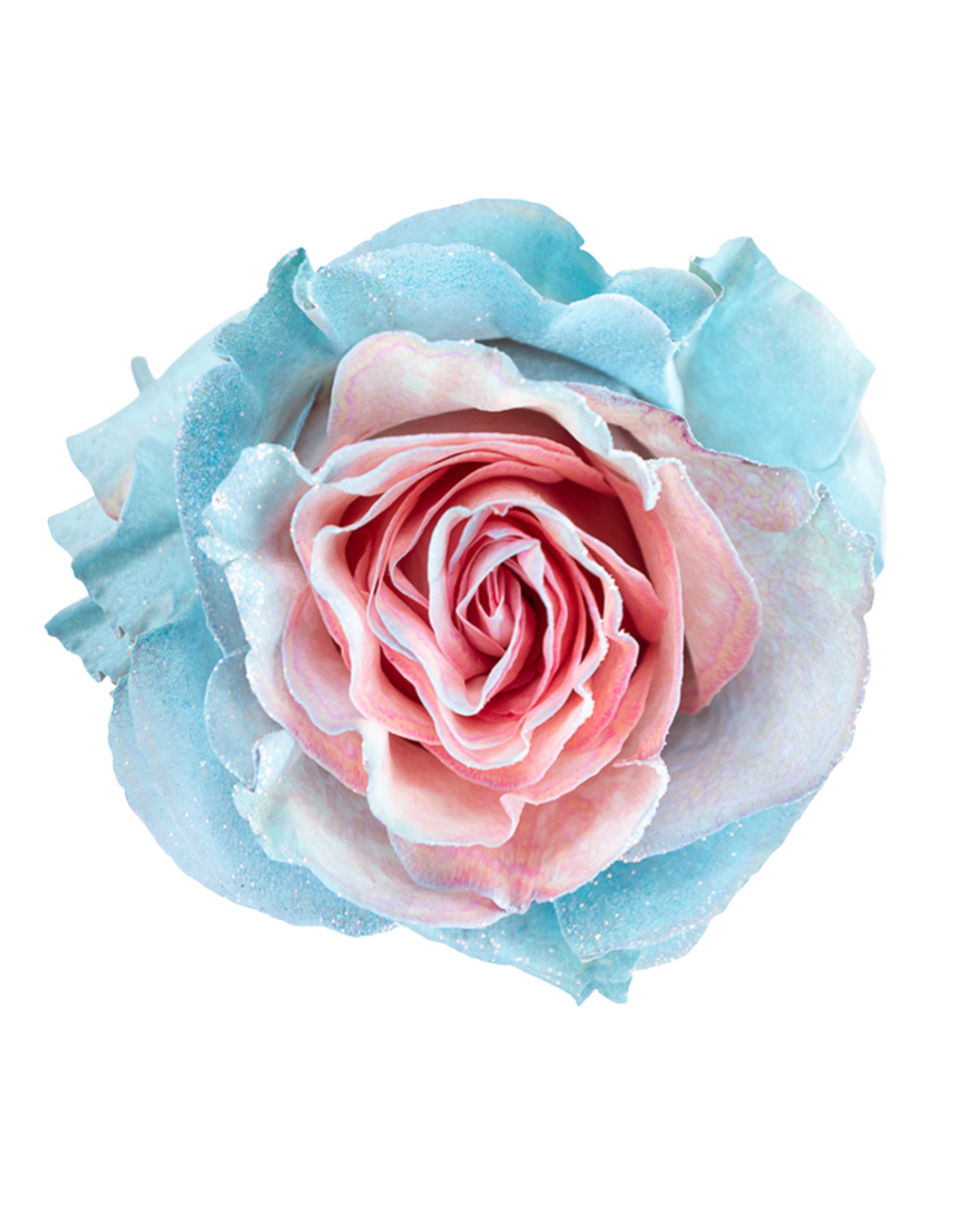 Baby Sky Baby Sky - Image 1