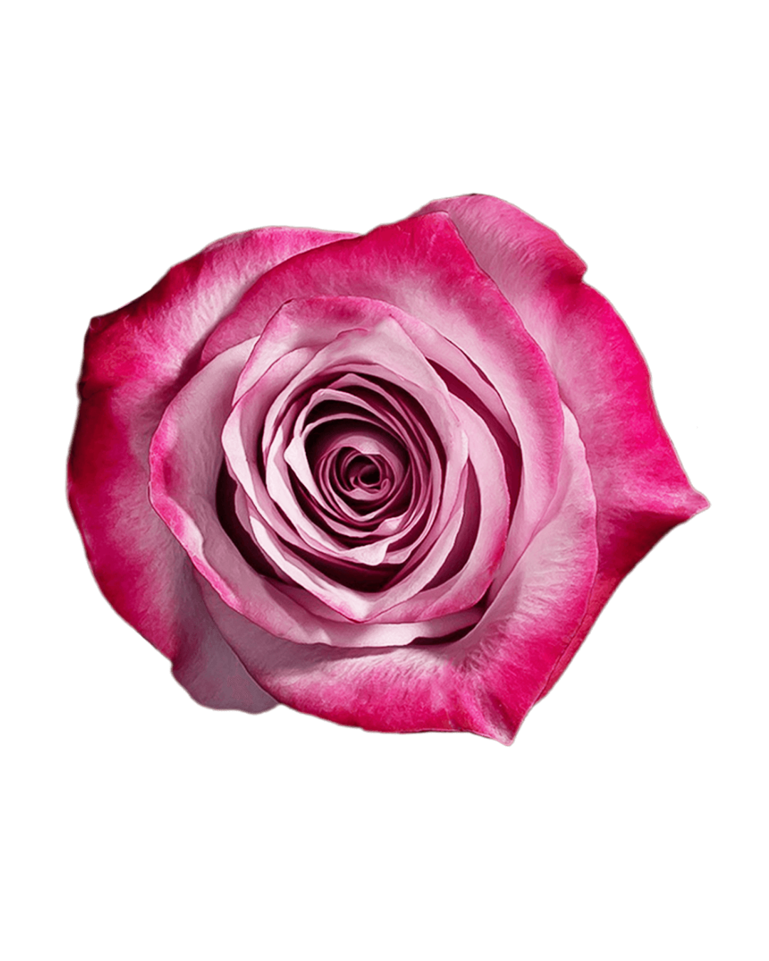 Deep purple Deep purple - Image 1