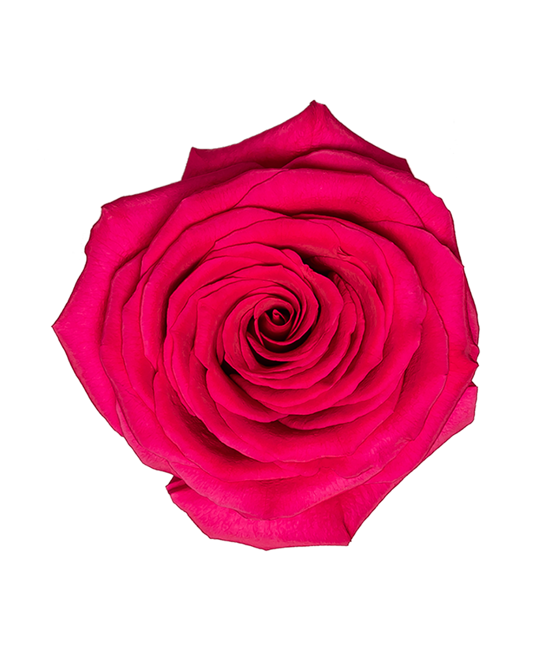 Gotcha Gotcha - Image 1