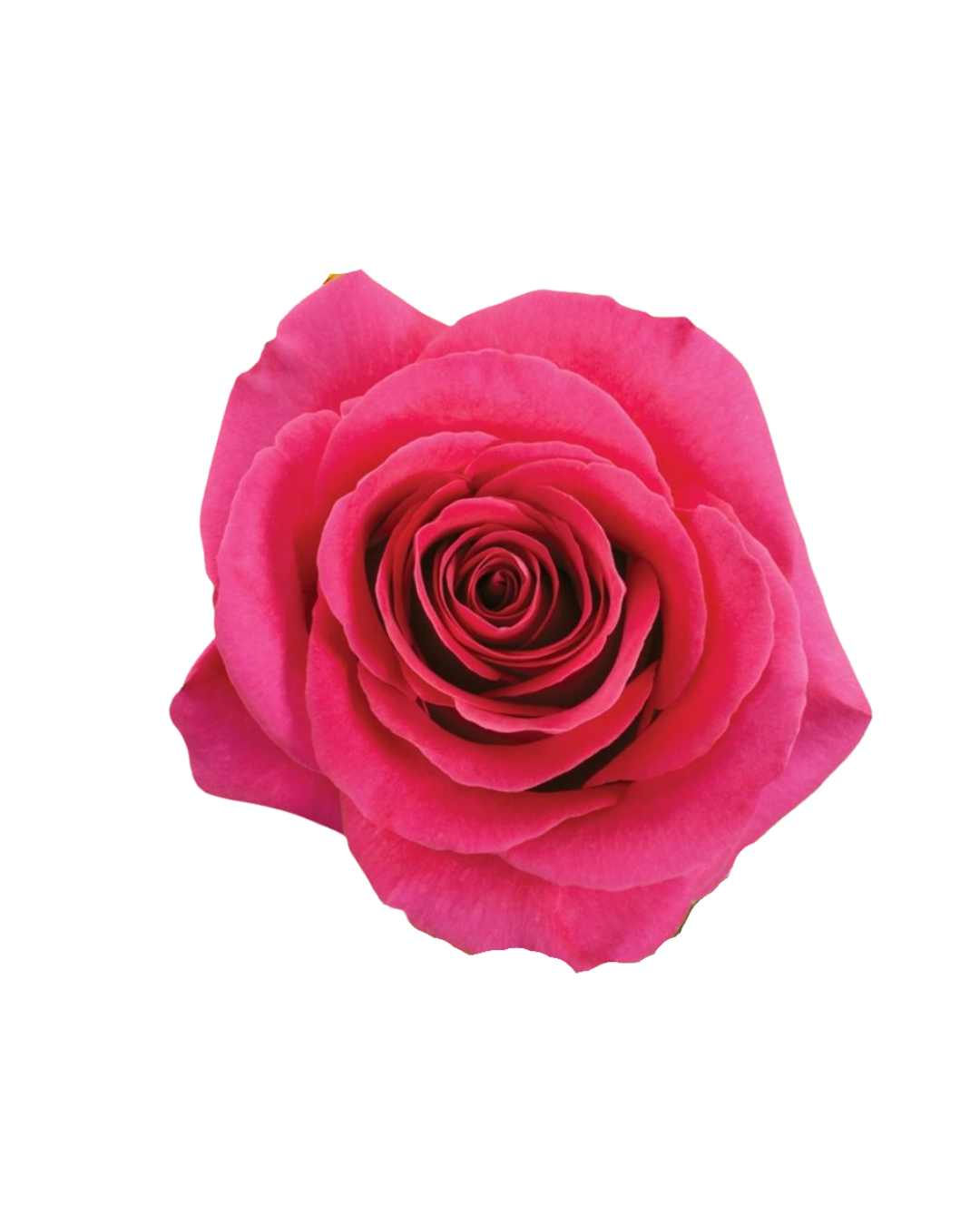 Pink Floyd Pink Floyd - Image 1