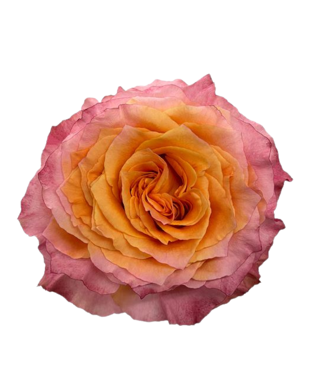 Spirit Spirit - Image 1