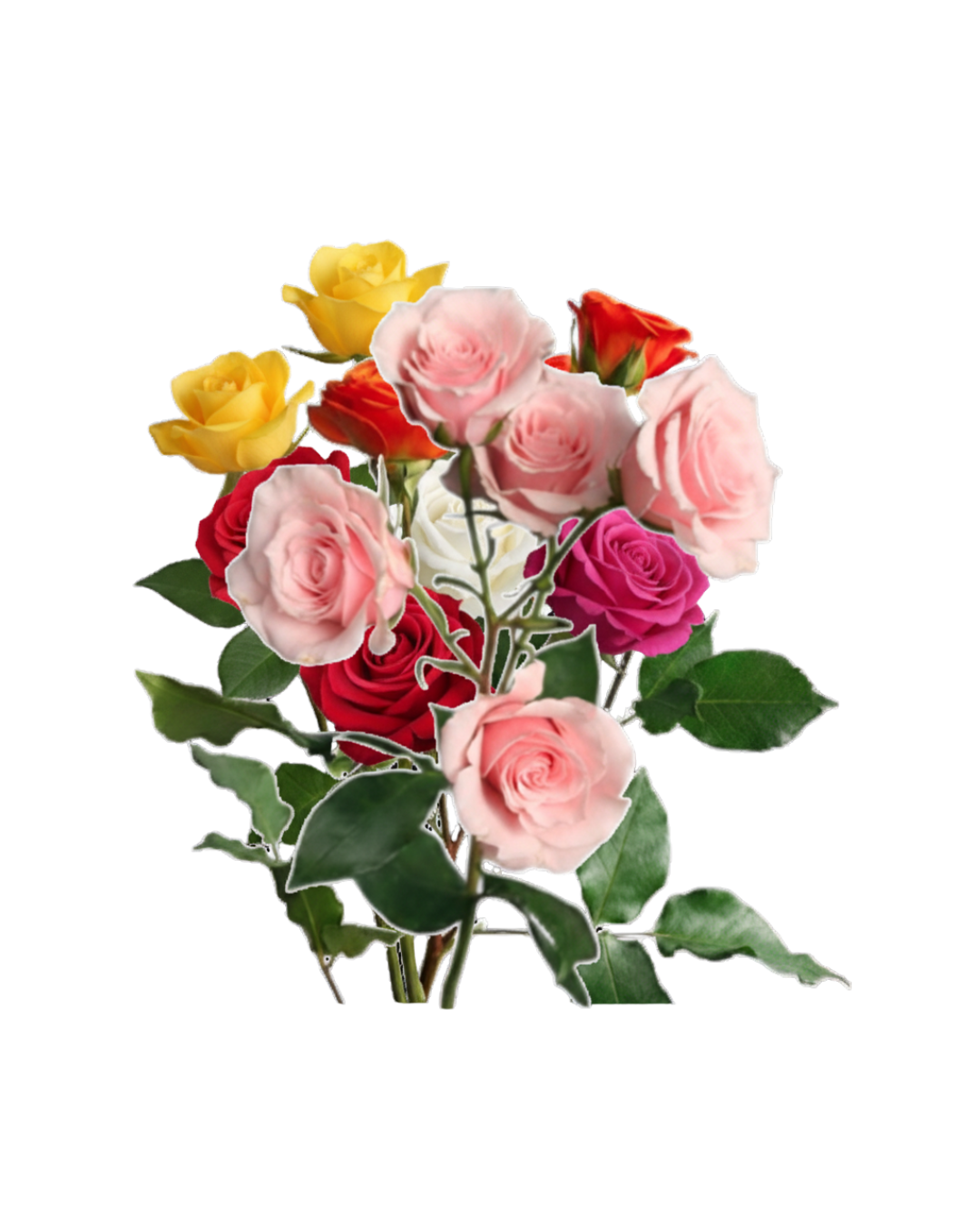 Spray Roses Mix Spray Roses Mix Color - Image 1