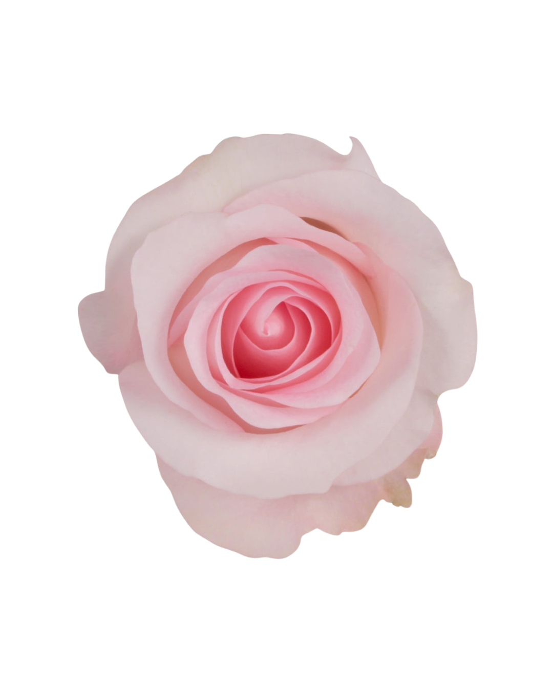 Sweet Akito Sweet Akito - Image 1