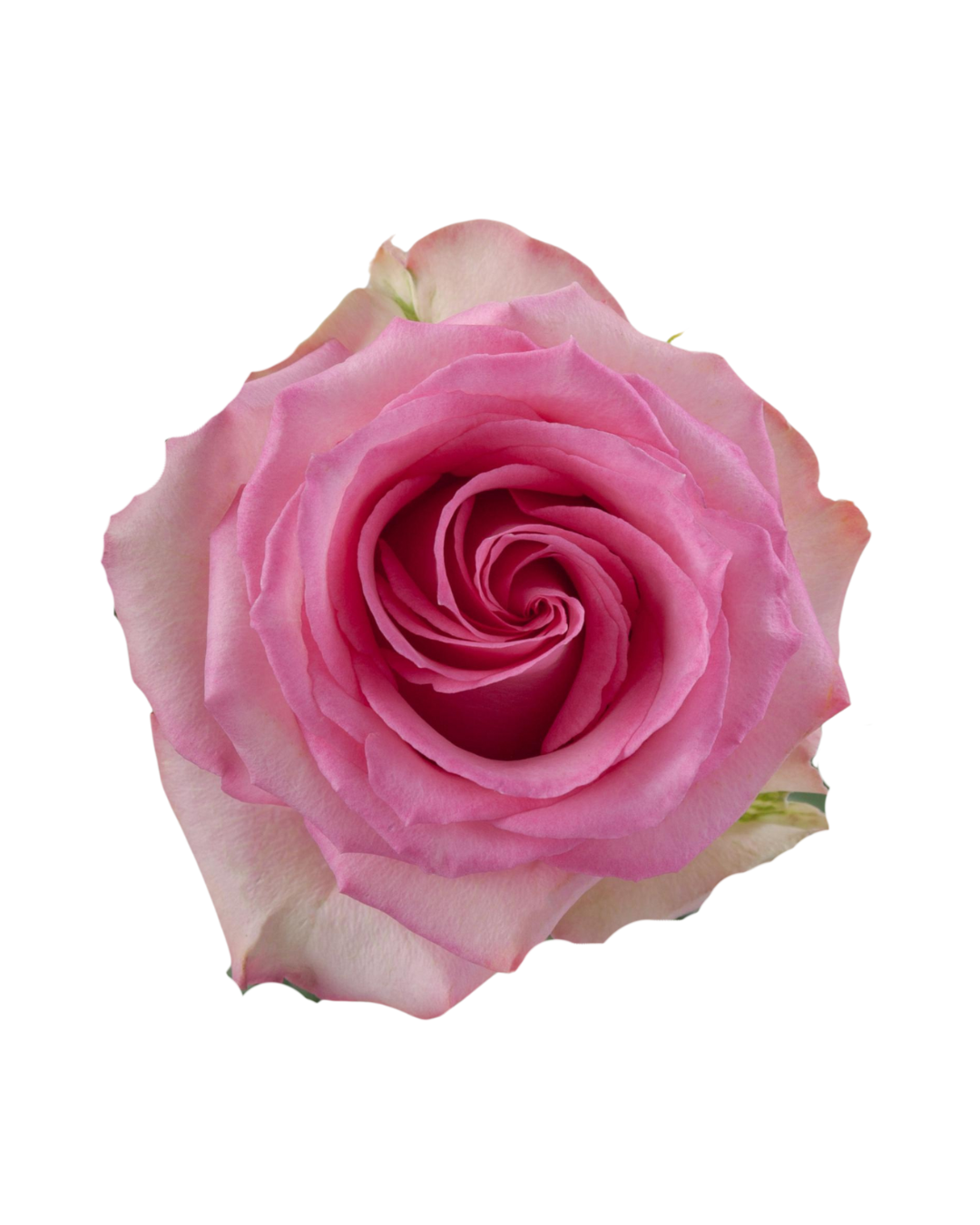 Sweet Unique Sweet Unique - Image 1