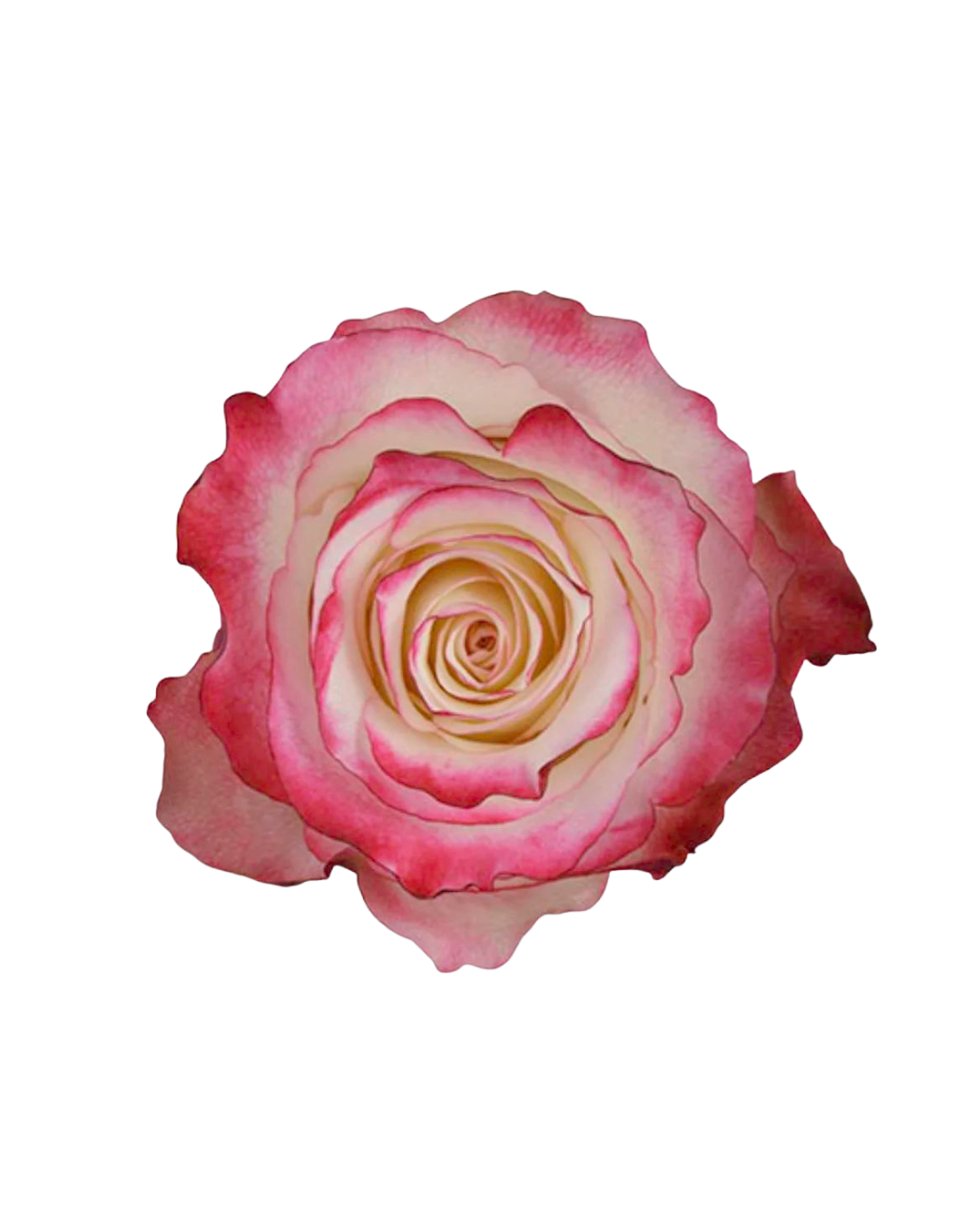 Sweetness (1) Sweetness - Image 1