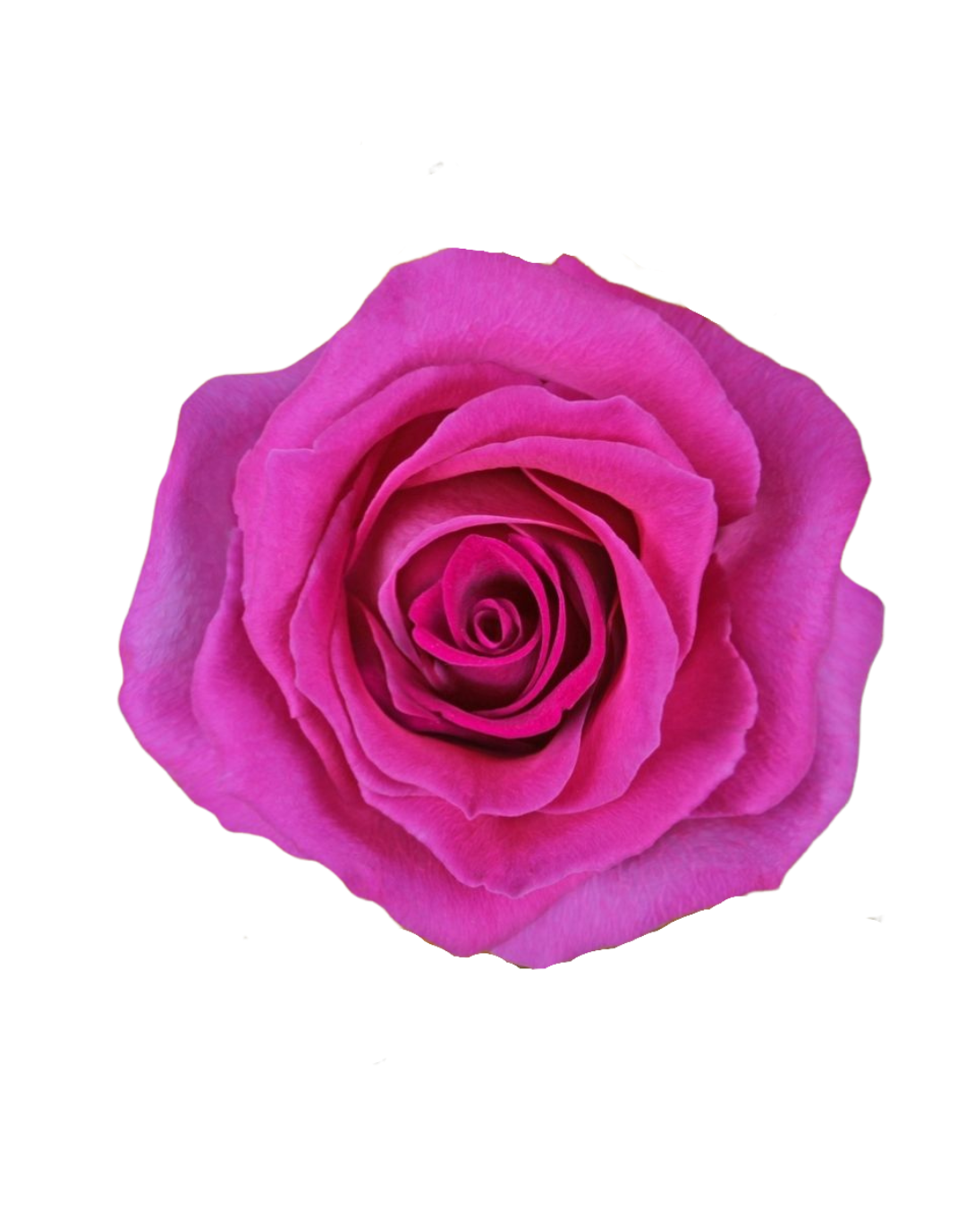 Topaz Topaz - Image 1