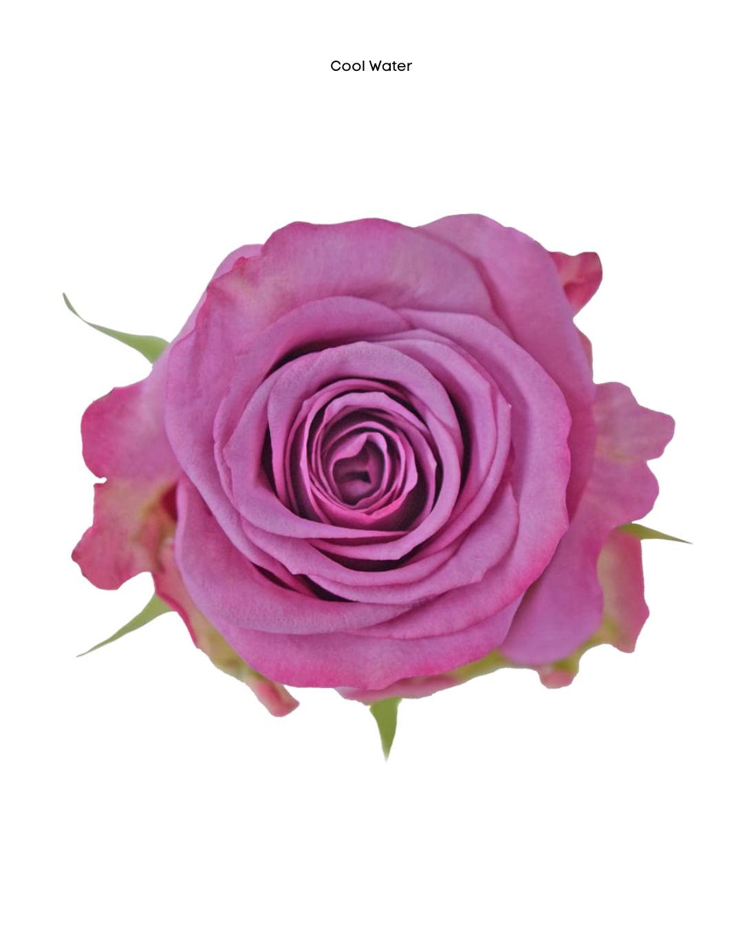 Cool water Cool Water - Image 1