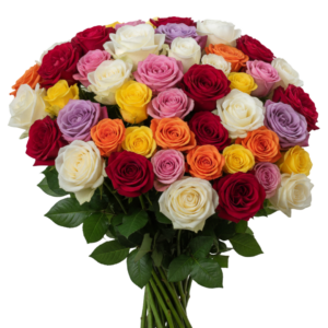 Mix Color Roses – Assorted Roses (Farm Choice)